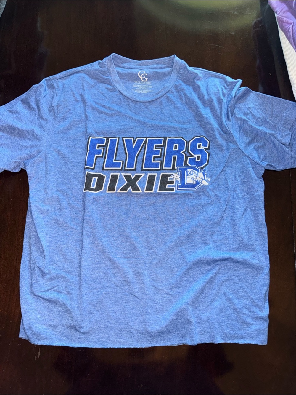 Champion Blue Flyers Dixie Graphic Crew Neck Tee